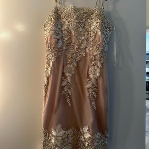 Hello molly neutrals mini dress size small